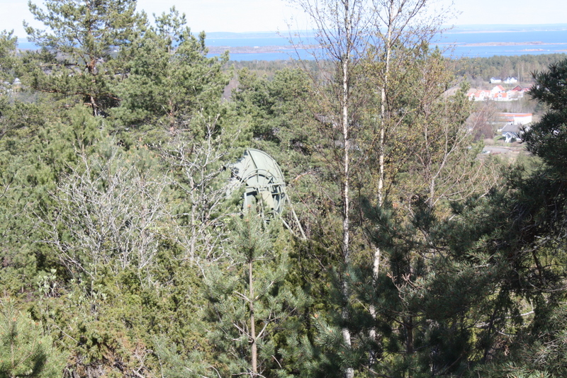 IMG_3320.JPG
