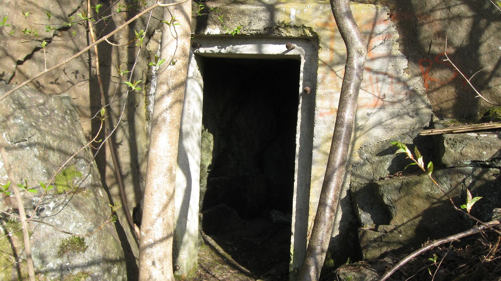 Tilfluktsrom, inngang