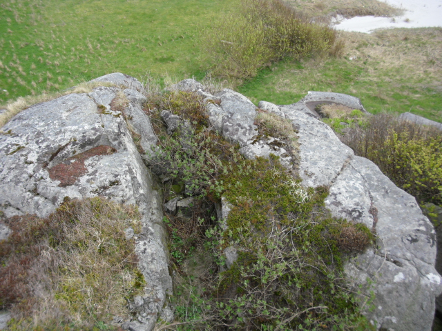 CIMG0851.JPG