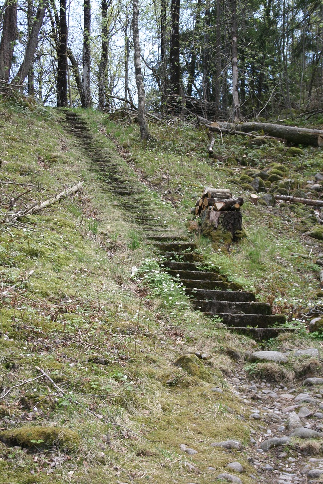 Trappene for å komme opp den første bakken.JPG