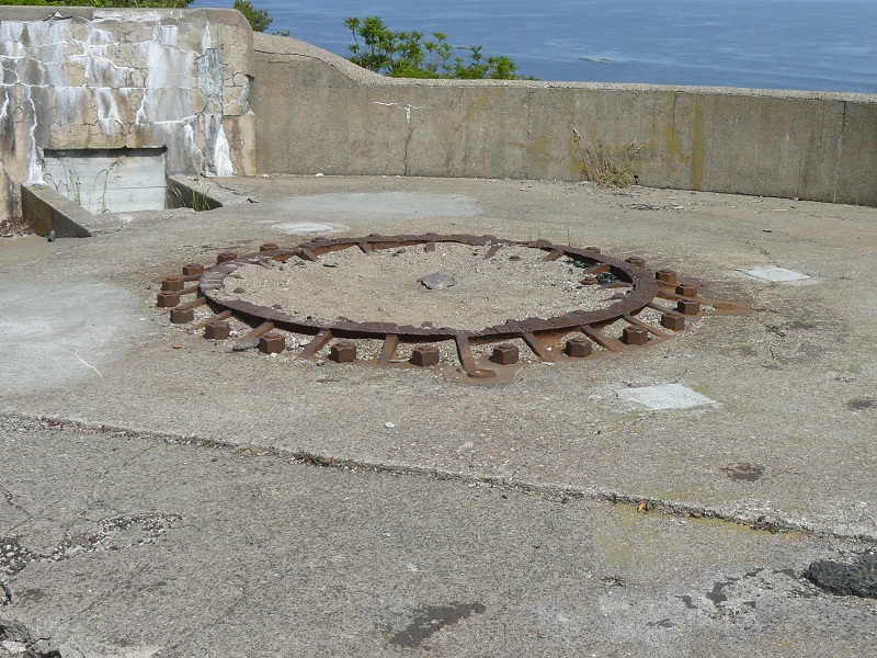 P1010443.jpg