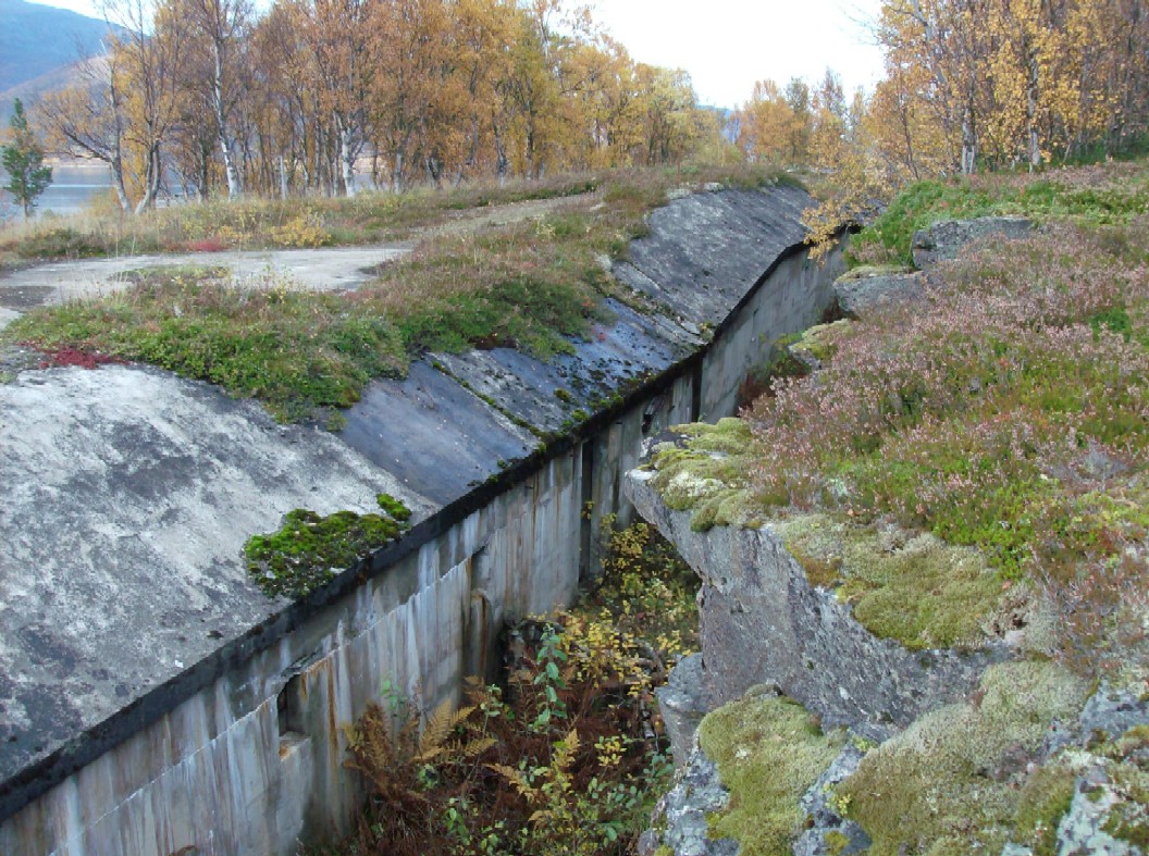 Bunker.jpg