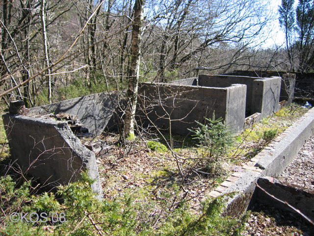 20080419_013_1.jpg