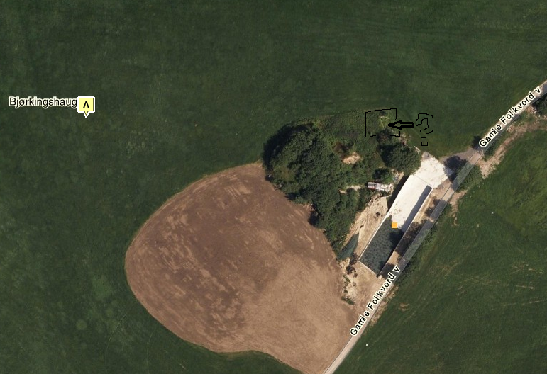 bjørkingshaug.png