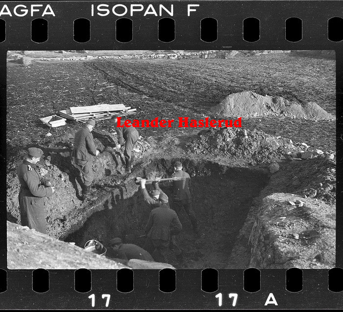 Negativ 17.jpg