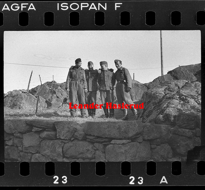 Negativ 23.jpg