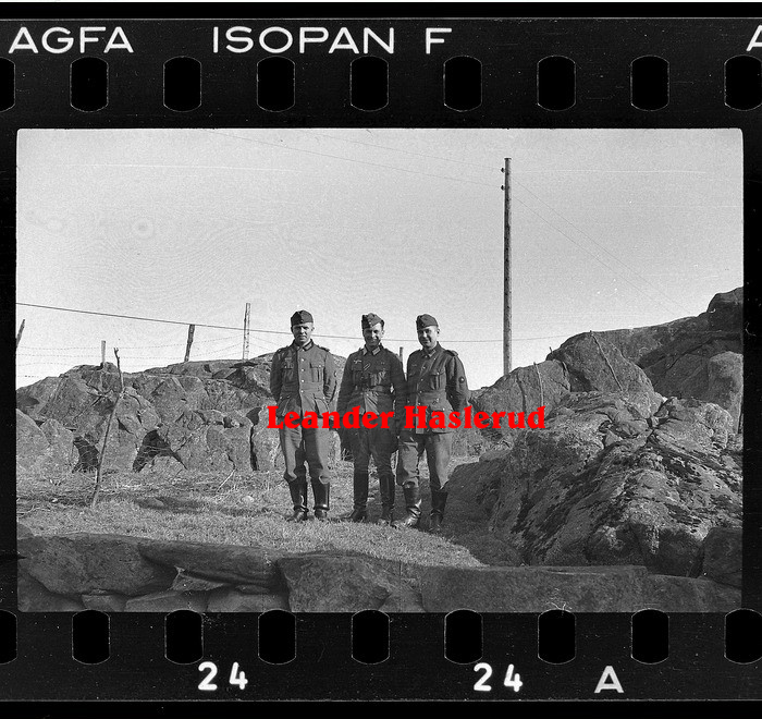 Negativ 24.jpg