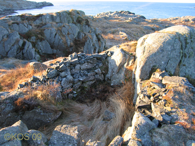 20090104_022_1.jpg
