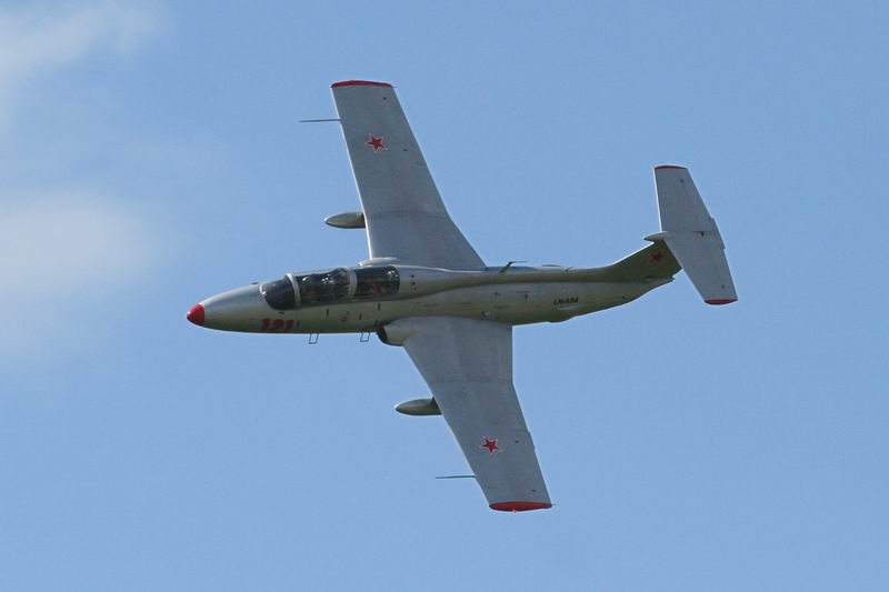 Delfin.jpg