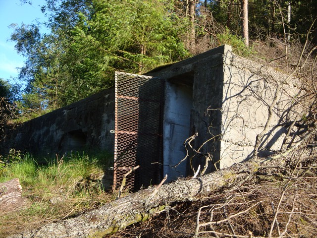 bunker-1.jpg