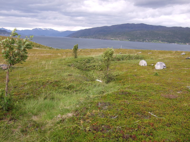 nord-troms310710 031.jpg