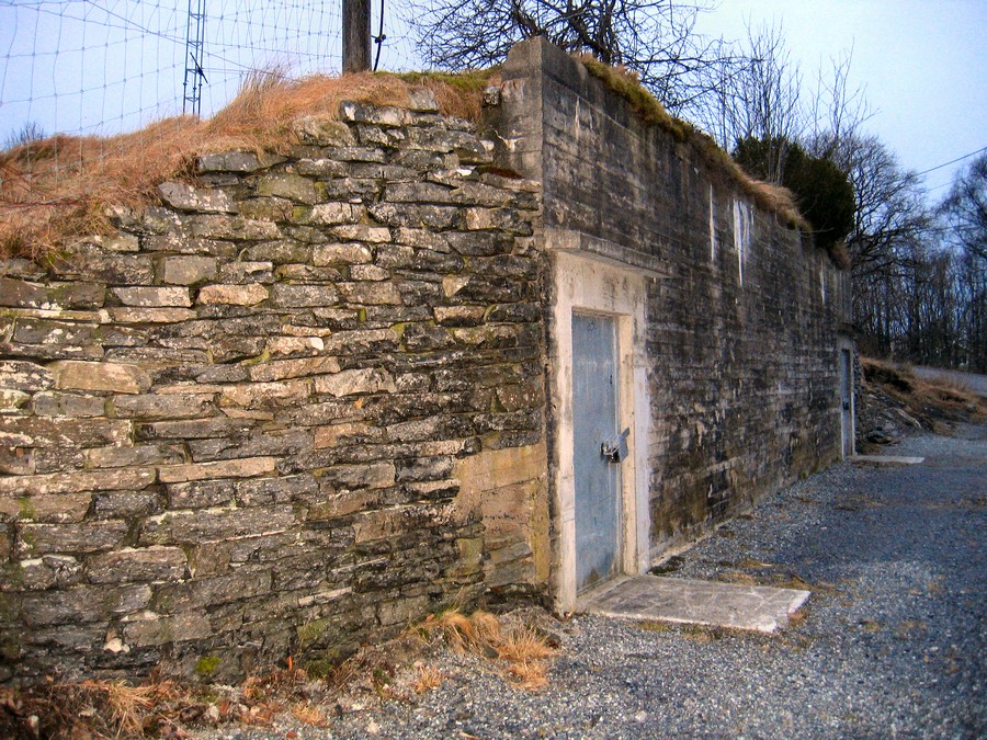 IMG_2348.jpg