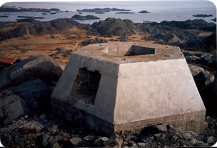 Syrewr.jpg