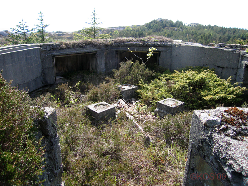 20090516_042_056_1.jpg
