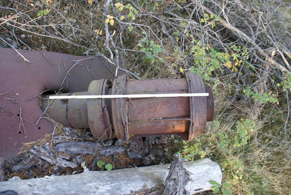 DSC03147.JPG
