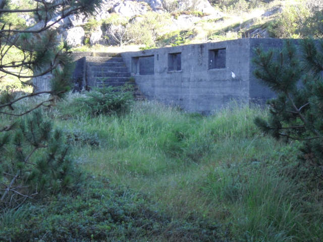 Stien starter ved noen grantrær nær forsamlingshuset