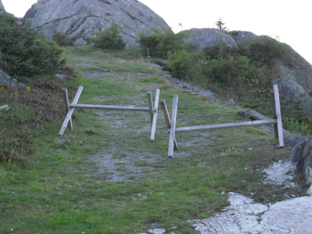 CIMG1572.JPG