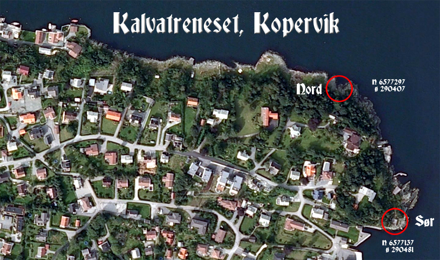 Oversiktsbilde Kalvatreneset.