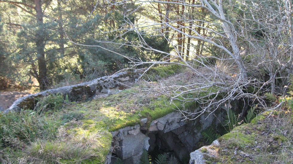 Torsnes (1).JPG