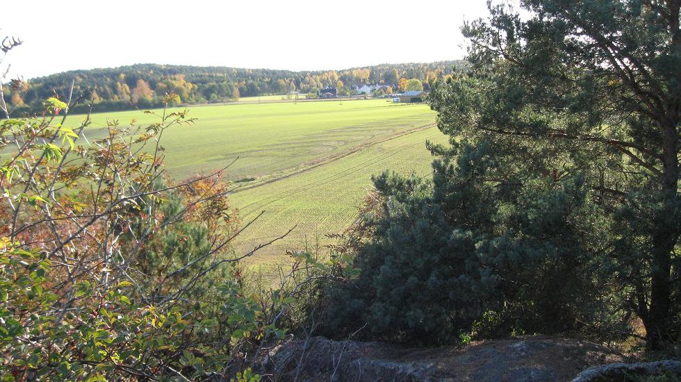 Torsnes (2).JPG