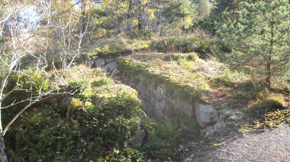 Torsnes (3).JPG