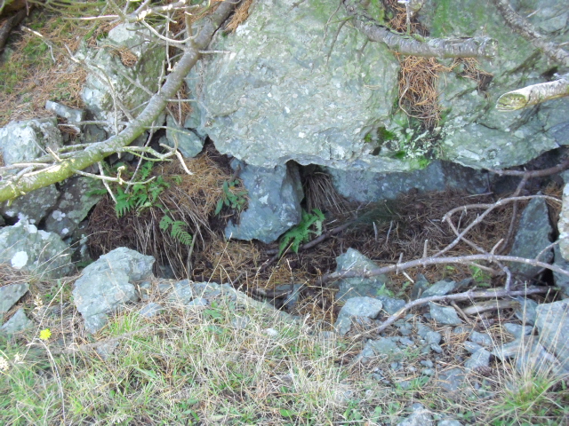 Tror gropen var +/- 50cm dyp.<br />Denne gropen var forran KwK'en et sted