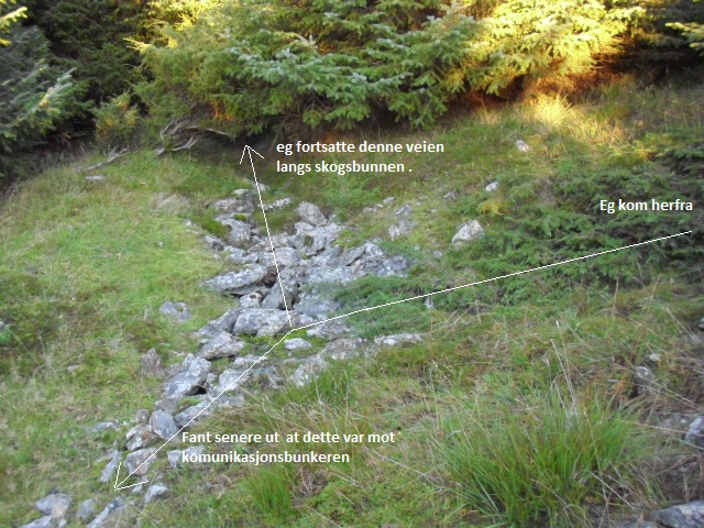 CIMG17722 veiskille.jpg