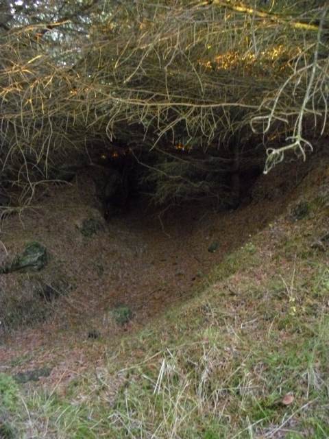 Denne delen av skyttergraven var nok dypere rett etter krigen
