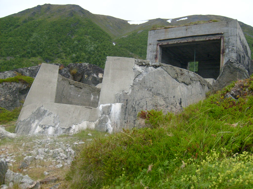 Grøtavær 1.juli-07 020.jpg