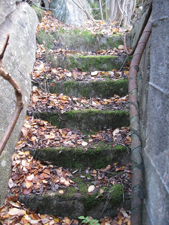 Fr.stad (30).jpg