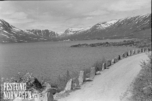 A44.jpg