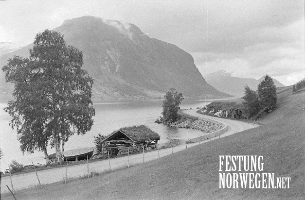 A81.jpg