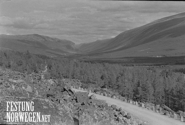 A91.jpg