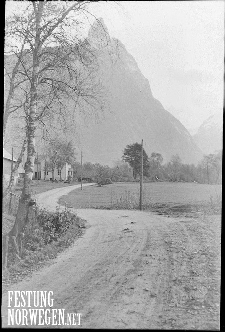 A246.jpg