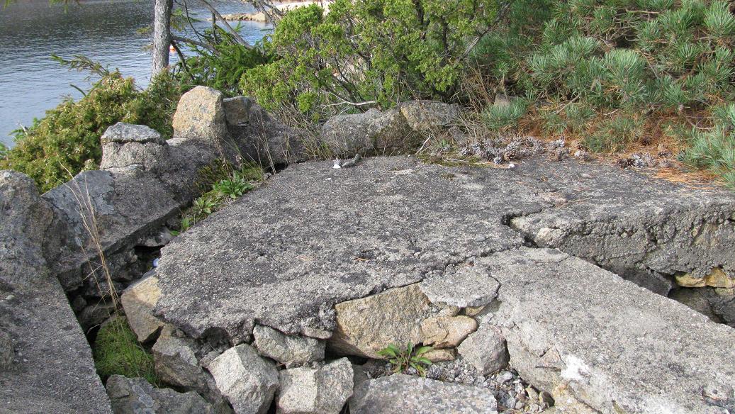 Kollen (7).JPG