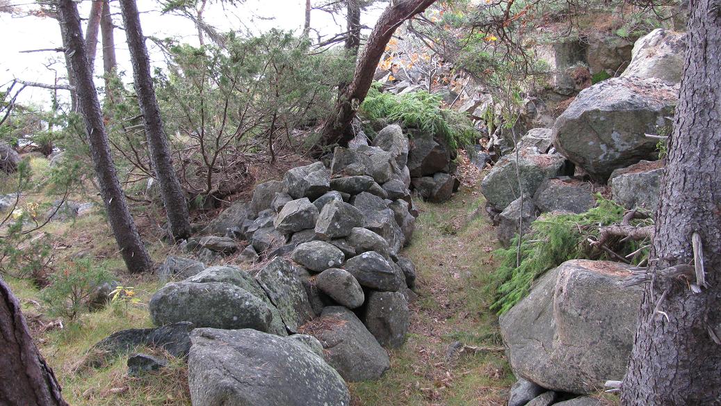 Kollen (8).JPG