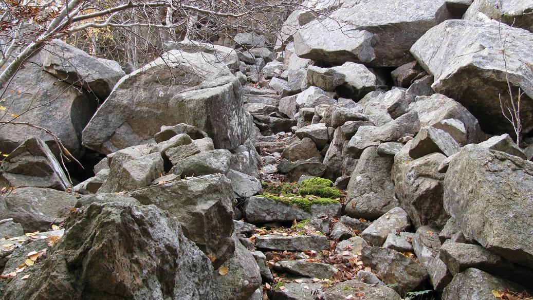 Kollen (9).JPG