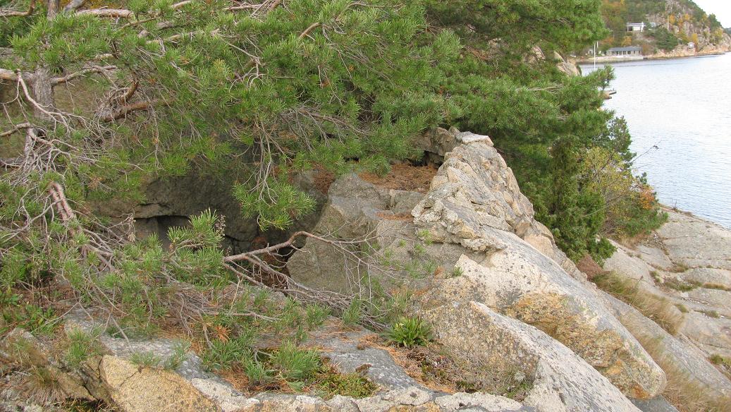 Kollen (11).JPG