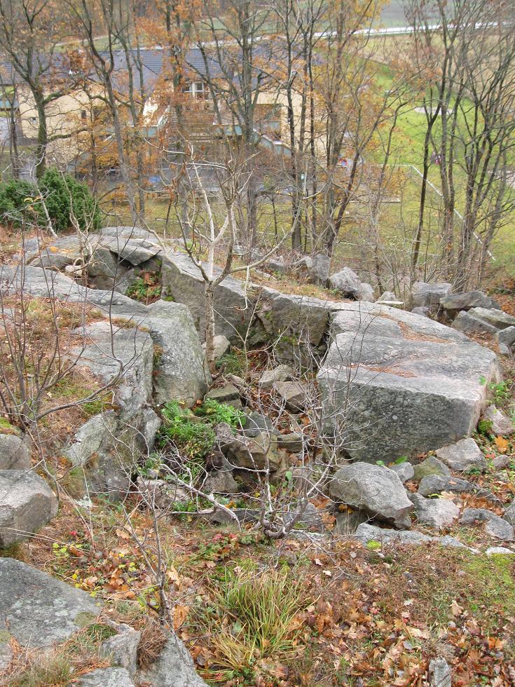rød (8).jpg