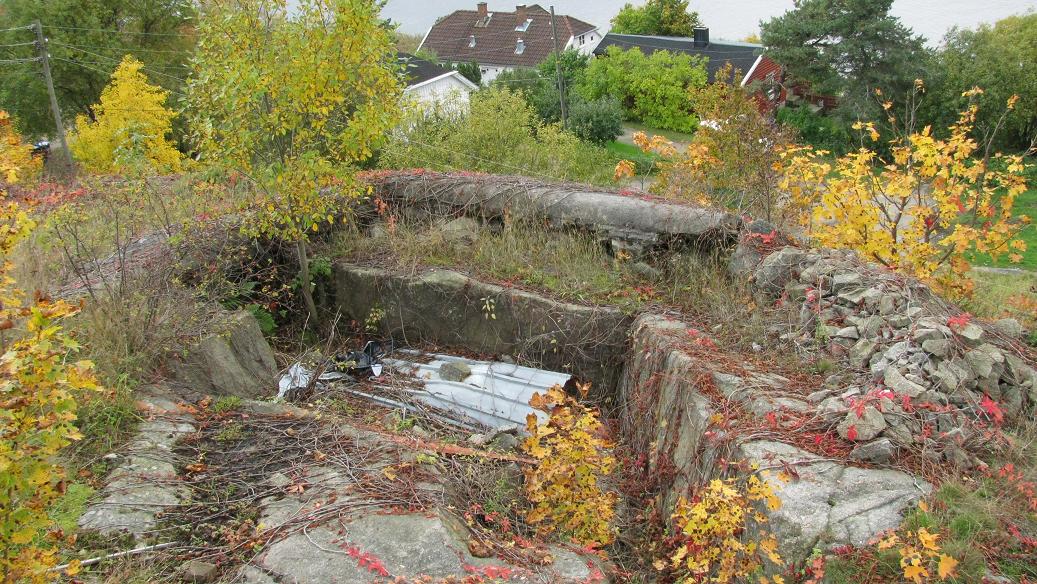 Rød (2).JPG
