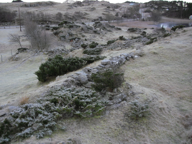 I venstre nedre hjørne er der en grop under bregnene .