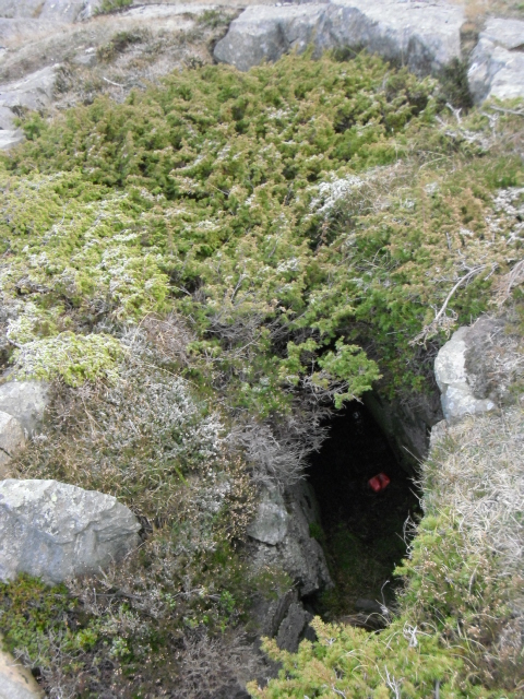 Her sjuler det seg en MG-stilling(?). Mye <br />gjørme og bregner som må fjernes i denne til våren.