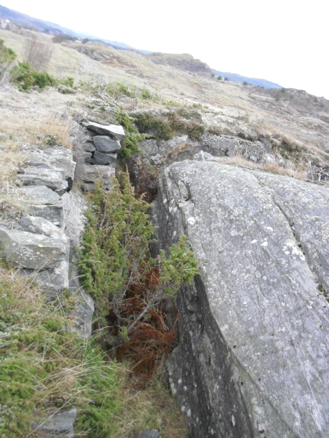 På luftfotoet er denne stillingen plassert et stykke nedenfor bunkeren. <br />På dette bildet står det en bregne i veien ,så eg fjernet den med kniv.