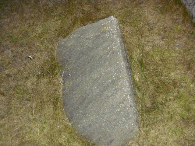 CIMG2111.JPG