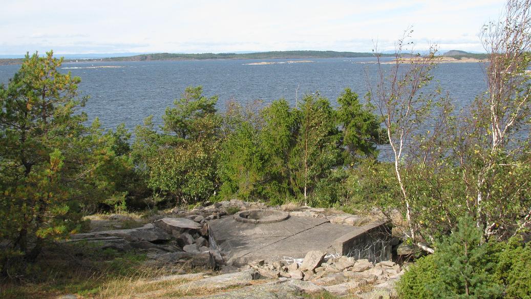 Vabukt-tangen (1).JPG