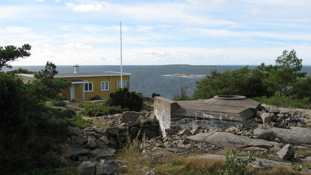 Vabukt-tangen (2).JPG