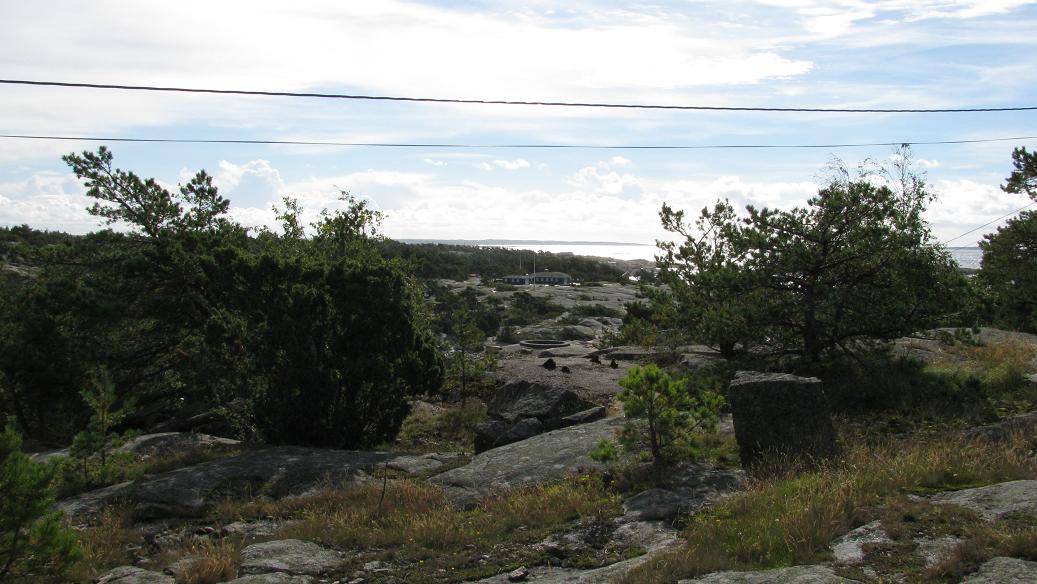 Vabukt-tangen (6).JPG