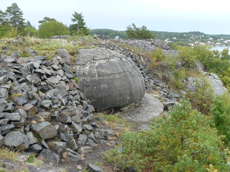 P1050178 (copy).JPG