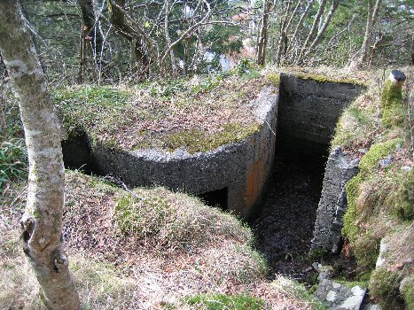 dobbelmg.jpg