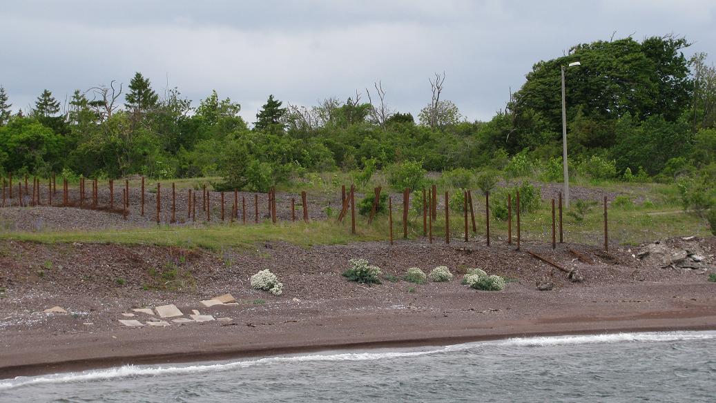 Rauøy (2).JPG